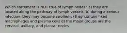 Which statement is NOT true of lymph nodes? a) they are located along the pathway of lymph vessels, b) during a serious infection 'they may become swollen c) they contain fixed macrophages and plasma cells d) the major groups are the cervical, axillary, and plantar nodes