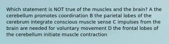 Which statement is NOT true of the muscles and the brain? A the cerebellum promotes coordination B the parietal lobes of the cerebrum integrate conscious muscle sense C impulses from the brain are needed for voluntary movement D the frontal lobes of the cerebellum initiate muscle contraction