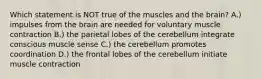 Which statement is NOT true of the muscles and the brain? A.) impulses from the brain are needed for voluntary muscle contraction B.) the parietal lobes of the cerebellum integrate conscious muscle sense C.) the cerebellum promotes coordination D.) the frontal lobes of the cerebellum initiate muscle contraction