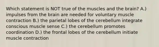 Which statement is NOT true of the muscles and the brain? A.) impulses from the brain are needed for voluntary muscle contraction B.) the parietal lobes of the cerebellum integrate conscious muscle sense C.) the cerebellum promotes coordination D.) the frontal lobes of the cerebellum initiate muscle contraction