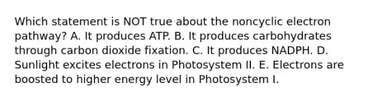 Which statement is NOT true about the noncyclic electron pathway? A. It produces ATP. B. It produces carbohydrates through carbon dioxide fixation. C. It produces NADPH. D. Sunlight excites electrons in Photosystem II. E. Electrons are boosted to higher energy level in Photosystem I.