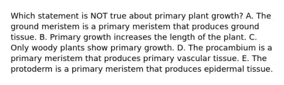 Which statement is NOT true about primary plant growth? A. The ground meristem is a primary meristem that produces <a href='https://www.questionai.com/knowledge/kb0kKBaH0H-ground-tissue' class='anchor-knowledge'>ground tissue</a>. B. Primary growth increases the length of the plant. C. Only woody plants show primary growth. D. The procambium is a primary meristem that produces primary <a href='https://www.questionai.com/knowledge/k1HVFq17mo-vascular-tissue' class='anchor-knowledge'>vascular tissue</a>. E. The protoderm is a primary meristem that produces epi<a href='https://www.questionai.com/knowledge/kRKdINDJId-dermal-tissue' class='anchor-knowledge'>dermal tissue</a>.