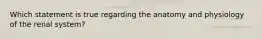 Which statement is true regarding the anatomy and physiology of the renal system?