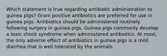 Which statement is true regarding antibiotic administration to guinea pigs? Gram positive antibiotics are preferred for use in guinea pigs. Antibiotics should be administered routinely following surgery in guinea pigs. Guinea pigs commonly develop a toxic shock syndrome when administered antibiotics. At most, the only adverse effect of antibiotics in guinea pigs is a mild diarrhea that is well tolerated by the animals.