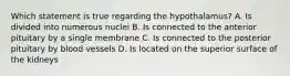 Which statement is true regarding the hypothalamus? A. Is divided into numerous nuclei B. Is connected to the anterior pituitary by a single membrane C. Is connected to the posterior pituitary by blood vessels D. Is located on the superior surface of the kidneys