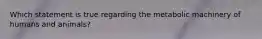 Which statement is true regarding the metabolic machinery of humans and animals?