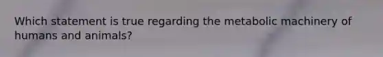 Which statement is true regarding the metabolic machinery of humans and animals?
