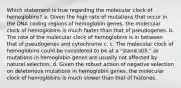 Which statement is true regarding the molecular clock of hemoglobins? a. Given the high rate of mutations that occur in the DNA coding regions of hemoglobin genes, the molecular clock of hemoglobins is much faster than that of pseudogenes. b. The rate of the molecular clock of hemoglobins is in between that of pseudogenes and cytochrome c. c. The molecular clock of hemoglobins could be considered to be at a "stand still," as mutations in hemoglobin genes are usually not affected by natural selection. d. Given the robust action of negative selection on deleterious mutations in hemoglobin genes, the molecular clock of hemoglobins is much slower than that of histones.