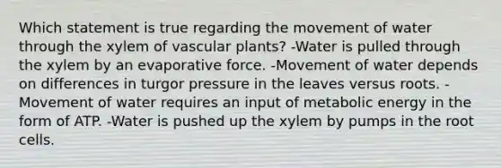 Which statement is true regarding the movement of water through the xylem of vascular plants? -Water is pulled through the xylem by an evaporative force. -Movement of water depends on differences in turgor pressure in the leaves versus roots. -Movement of water requires an input of metabolic energy in the form of ATP. -Water is pushed up the xylem by pumps in the root cells.