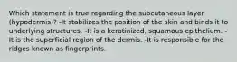 Which statement is true regarding the subcutaneous layer (hypodermis)? -It stabilizes the position of the skin and binds it to underlying structures. -It is a keratinized, squamous epithelium. -It is the superficial region of the dermis. -It is responsible for the ridges known as fingerprints.