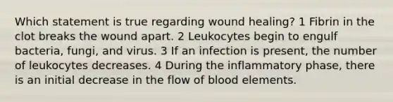 Which statement is true regarding wound healing? 1 Fibrin in the clot breaks the wound apart. 2 Leukocytes begin to engulf bacteria, fungi, and virus. 3 If an infection is present, the number of leukocytes decreases. 4 During the inflammatory phase, there is an initial decrease in the flow of blood elements.