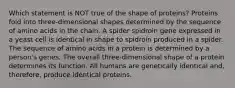 Which statement is NOT true of the shape of proteins? Proteins fold into three-dimensional shapes determined by the sequence of amino acids in the chain. A spider spidroin gene expressed in a yeast cell is identical in shape to spidroin produced in a spider. The sequence of amino acids in a protein is determined by a person's genes. The overall three-dimensional shape of a protein determines its function. All humans are genetically identical and, therefore, produce identical proteins.