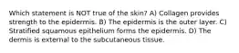 Which statement is NOT true of the skin? A) Collagen provides strength to the epidermis. B) The epidermis is the outer layer. C) Stratified squamous epithelium forms the epidermis. D) The dermis is external to the subcutaneous tissue.