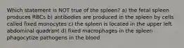 Which statement is NOT true of the spleen? a) the fetal spleen produces RBCs b) antibodies are produced in the spleen by cells called fixed monocytes c) the spleen is located in the upper left abdominal quadrant d) fixed macrophages in the spleen phagocytize pathogens in the blood