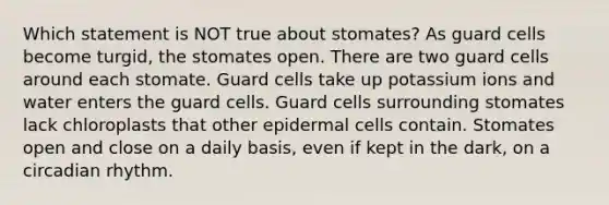 Which statement is NOT true about stomates? As guard cells become turgid, the stomates open. There are two guard cells around each stomate. Guard cells take up potassium ions and water enters the guard cells. Guard cells surrounding stomates lack chloroplasts that other epidermal cells contain. Stomates open and close on a daily basis, even if kept in the dark, on a circadian rhythm.