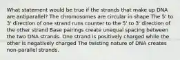 What statement would be true if the strands that make up DNA are antiparallel? The chromosomes are circular in shape The 5' to 3' direction of one strand runs counter to the 5' to 3' direction of the other strand Base pairings create unequal spacing between the two DNA strands. One strand is positively charged while the other is negatively charged The twisting nature of DNA creates non-parallel strands.