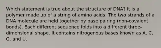 Which statement is true about the structure of DNA? It is a polymer made up of a string of amino acids. The two strands of a DNA molecule are held together by base pairing (non-covalent bonds). Each different sequence folds into a different three-dimensional shape. It contains nitrogenous bases known as A, C, G, and U.