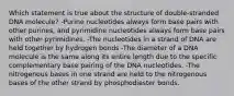 Which statement is true about the structure of double-stranded DNA molecule? -Purine nucleotides always form base pairs with other purines, and pyrimidine nucleotides always form base pairs with other pyrimidines. -The nucleotides in a strand of DNA are held together by hydrogen bonds -The diameter of a DNA molecule is the same along its entire length due to the specific complementary base pairing of the DNA nucleotides. -The nitrogenous bases in one strand are held to the nitrogenous bases of the other strand by phosphodiester bonds.