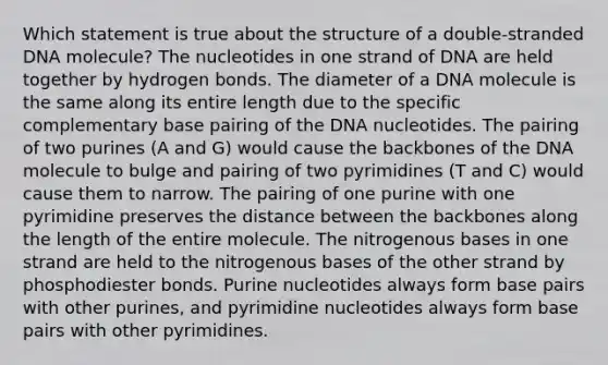 Which statement is true about the structure of a double-stranded DNA molecule? The nucleotides in one strand of DNA are held together by hydrogen bonds. The diameter of a DNA molecule is the same along its entire length due to the specific complementary base pairing of the DNA nucleotides. The pairing of two purines (A and G) would cause the backbones of the DNA molecule to bulge and pairing of two pyrimidines (T and C) would cause them to narrow. The pairing of one purine with one pyrimidine preserves the distance between the backbones along the length of the entire molecule. The nitrogenous bases in one strand are held to the nitrogenous bases of the other strand by phosphodiester bonds. Purine nucleotides always form base pairs with other purines, and pyrimidine nucleotides always form base pairs with other pyrimidines.