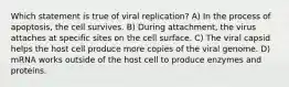 Which statement is true of viral replication? A) In the process of apoptosis, the cell survives. B) During attachment, the virus attaches at specific sites on the cell surface. C) The viral capsid helps the host cell produce more copies of the viral genome. D) mRNA works outside of the host cell to produce enzymes and proteins.