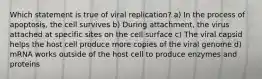 Which statement is true of viral replication? a) In the process of apoptosis, the cell survives b) During attachment, the virus attached at specific sites on the cell surface c) The viral capsid helps the host cell produce more copies of the viral genome d) mRNA works outside of the host cell to produce enzymes and proteins