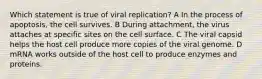 Which statement is true of viral replication? A In the process of apoptosis, the cell survives. B During attachment, the virus attaches at specific sites on the cell surface. C The viral capsid helps the host cell produce more copies of the viral genome. D mRNA works outside of the host cell to produce enzymes and proteins.