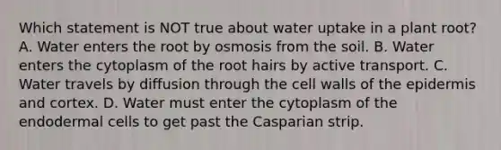 Which statement is NOT true about water uptake in a plant root? A. Water enters the root by osmosis from the soil. B. Water enters the cytoplasm of the root hairs by active transport. C. Water travels by diffusion through the cell walls of the epidermis and cortex. D. Water must enter the cytoplasm of the endodermal cells to get past the Casparian strip.