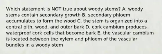 Which statement is NOT true about woody stems? A. woody stems contain secondary growth B. secondary phloem accumulates to form the wood C. the stem is organized into a central pith, wood, and outer bark D. cork cambium produces waterproof cork cells that become bark E. the vascular cambium is located between the xylem and phloem of the vascular bundles in a woody stem