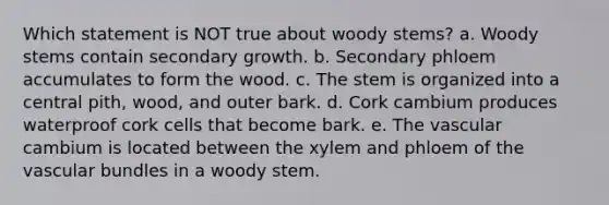 Which statement is NOT true about woody stems? a. Woody stems contain secondary growth. b. Secondary phloem accumulates to form the wood. c. The stem is organized into a central pith, wood, and outer bark. d. Cork cambium produces waterproof cork cells that become bark. e. The vascular cambium is located between the xylem and phloem of the vascular bundles in a woody stem.