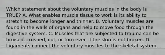 Which statement about the voluntary muscles in the body is​ TRUE? A. What enables muscle tissue to work is its ability to stretch to become longer and thinner. B. Voluntary muscles are found in the walls of organs and help to move food through the digestive system. C. Muscles that are subjected to trauma can be​ bruised, crushed,​ cut, or torn even if the skin is not broken. D. Ligaments connect the voluntary muscles to the skeletal system.