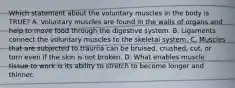 Which statement about the voluntary muscles in the body is​ TRUE? A. Voluntary muscles are found in the walls of organs and help to move food through the digestive system. B. Ligaments connect the voluntary muscles to the skeletal system. C. Muscles that are subjected to trauma can be​ bruised, crushed,​ cut, or torn even if the skin is not broken. D. What enables muscle tissue to work is its ability to stretch to become longer and thinner.