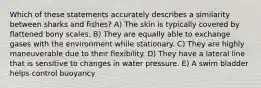 Which of these statements accurately describes a similarity between sharks and fishes? A) The skin is typically covered by flattened bony scales. B) They are equally able to exchange gases with the environment while stationary. C) They are highly maneuverable due to their flexibility. D) They have a lateral line that is sensitive to changes in water pressure. E) A swim bladder helps control buoyancy