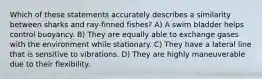 Which of these statements accurately describes a similarity between sharks and ray-finned fishes? A) A swim bladder helps control buoyancy. B) They are equally able to exchange gases with the environment while stationary. C) They have a lateral line that is sensitive to vibrations. D) They are highly maneuverable due to their flexibility.