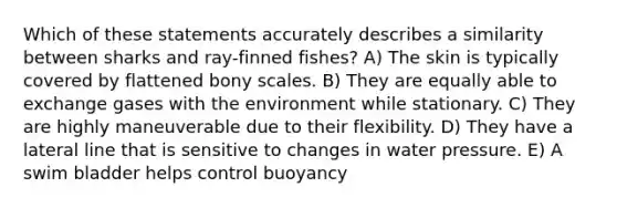 Which of these statements accurately describes a similarity between sharks and ray-finned fishes? A) The skin is typically covered by flattened bony scales. B) They are equally able to exchange gases with the environment while stationary. C) They are highly maneuverable due to their flexibility. D) They have a lateral line that is sensitive to changes in water pressure. E) A swim bladder helps control buoyancy