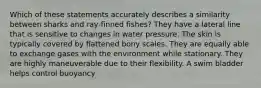 Which of these statements accurately describes a similarity between sharks and ray-finned fishes? They have a lateral line that is sensitive to changes in water pressure. The skin is typically covered by flattened bony scales. They are equally able to exchange gases with the environment while stationary. They are highly maneuverable due to their flexibility. A swim bladder helps control buoyancy