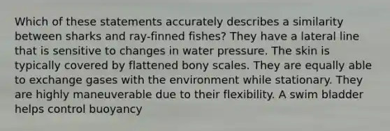 Which of these statements accurately describes a similarity between sharks and ray-finned fishes? They have a lateral line that is sensitive to changes in water pressure. The skin is typically covered by flattened bony scales. They are equally able to exchange gases with the environment while stationary. They are highly maneuverable due to their flexibility. A swim bladder helps control buoyancy