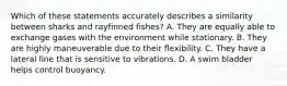 Which of these statements accurately describes a similarity between sharks and rayfinned fishes? A. They are equally able to exchange gases with the environment while stationary. B. They are highly maneuverable due to their flexibility. C. They have a lateral line that is sensitive to vibrations. D. A swim bladder helps control buoyancy.