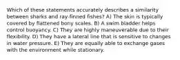 Which of these statements accurately describes a similarity between sharks and ray-finned fishes? A) The skin is typically covered by flattened bony scales. B) A swim bladder helps control buoyancy. C) They are highly maneuverable due to their flexibility. D) They have a lateral line that is sensitive to changes in water pressure. E) They are equally able to exchange gases with the environment while stationary.