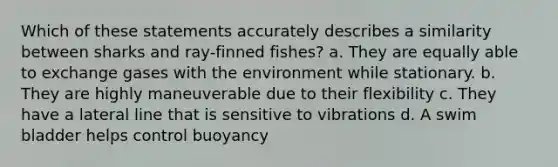 Which of these statements accurately describes a similarity between sharks and ray-finned fishes? a. They are equally able to exchange gases with the environment while stationary. b. They are highly maneuverable due to their flexibility c. They have a lateral line that is sensitive to vibrations d. A swim bladder helps control buoyancy