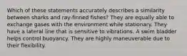 Which of these statements accurately describes a similarity between sharks and ray-finned fishes? They are equally able to exchange gases with the environment while stationary. They have a lateral line that is sensitive to vibrations. A swim bladder helps control buoyancy. They are highly maneuverable due to their flexibility.