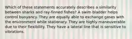 Which of these statements accurately describes a similarity between sharks and ray-finned fishes? A swim bladder helps control buoyancy. They are equally able to exchange gases with the environment while stationary. They are highly maneuverable due to their flexibility. They have a lateral line that is sensitive to vibrations.