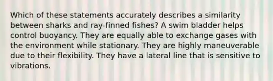 Which of these statements accurately describes a similarity between sharks and ray-finned fishes? A swim bladder helps control buoyancy. They are equally able to exchange gases with the environment while stationary. They are highly maneuverable due to their flexibility. They have a lateral line that is sensitive to vibrations.