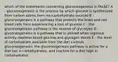 which of the statements concerning gluconeogenesis is FALSE? A - gluconeogenesis is the process by which glucose is synthesized from carbon atoms from noncarbohydrate sources B - gluconeogenesis is a pathway that protects the brain and red blood cells from experiencing a loss of glucose C - the gluconeogenesis pathway is the reverse of glycolysis D - gluconeogenesis is a pathway that is utilized when vigorous activity depletes blood glucose and glycogen stores E - the level of carbohydrate available from the diet controls gluconeogenesis; the gluconeogenesis pathway is active for a diet low in carbohydrates, and inactive for a diet high in carbohydrates