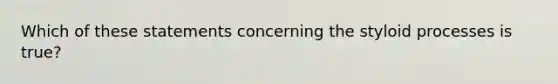 Which of these statements concerning the styloid processes is true?