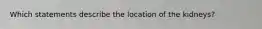 Which statements describe the location of the kidneys?