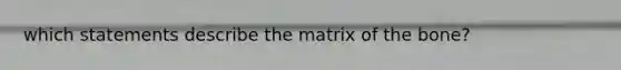 which statements describe the matrix of the bone?