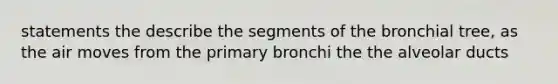 statements the describe the segments of the bronchial tree, as the air moves from the primary bronchi the the alveolar ducts