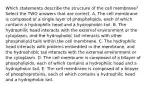 Which statements describe the structure of the cell membrane? Select the TWO answers that are correct. A. The cell membrane is composed of a single layer of phospholipids, each of which contains a hydrophilic head and a hydrophobic tail. B. The hydrophilic head interacts with the external environment or the cytoplasm, and the hydrophobic tail interacts with other phospholipid tails within the cell membrane. C. The hydrophilic head interacts with proteins embedded in the membrane, and the hydrophobic tail interacts with the external environment or the cytoplasm. D. The cell membrane is composed of a bilayer of phospholipids, each of which contains a hydrophilic head and a hydrophobic tail. E. The cell membrane is composed of a bilayer of phosphoproteins, each of which contains a hydrophilic head and a hydrophobic tail.