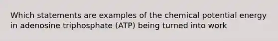 Which statements are examples of the chemical potential energy in adenosine triphosphate (ATP) being turned into work