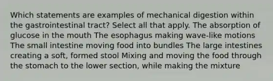 Which statements are examples of mechanical digestion within the gastrointestinal tract? Select all that apply. The absorption of glucose in the mouth The esophagus making wave-like motions The small intestine moving food into bundles The large intestines creating a soft, formed stool Mixing and moving the food through the stomach to the lower section, while making the mixture